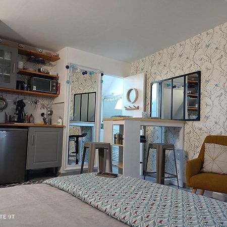 Tres Beau Studio Climatisation, Trois Etoiles, Parking A Velo, Velos En Option, Parking Prive Jardin Montargis Exterior foto