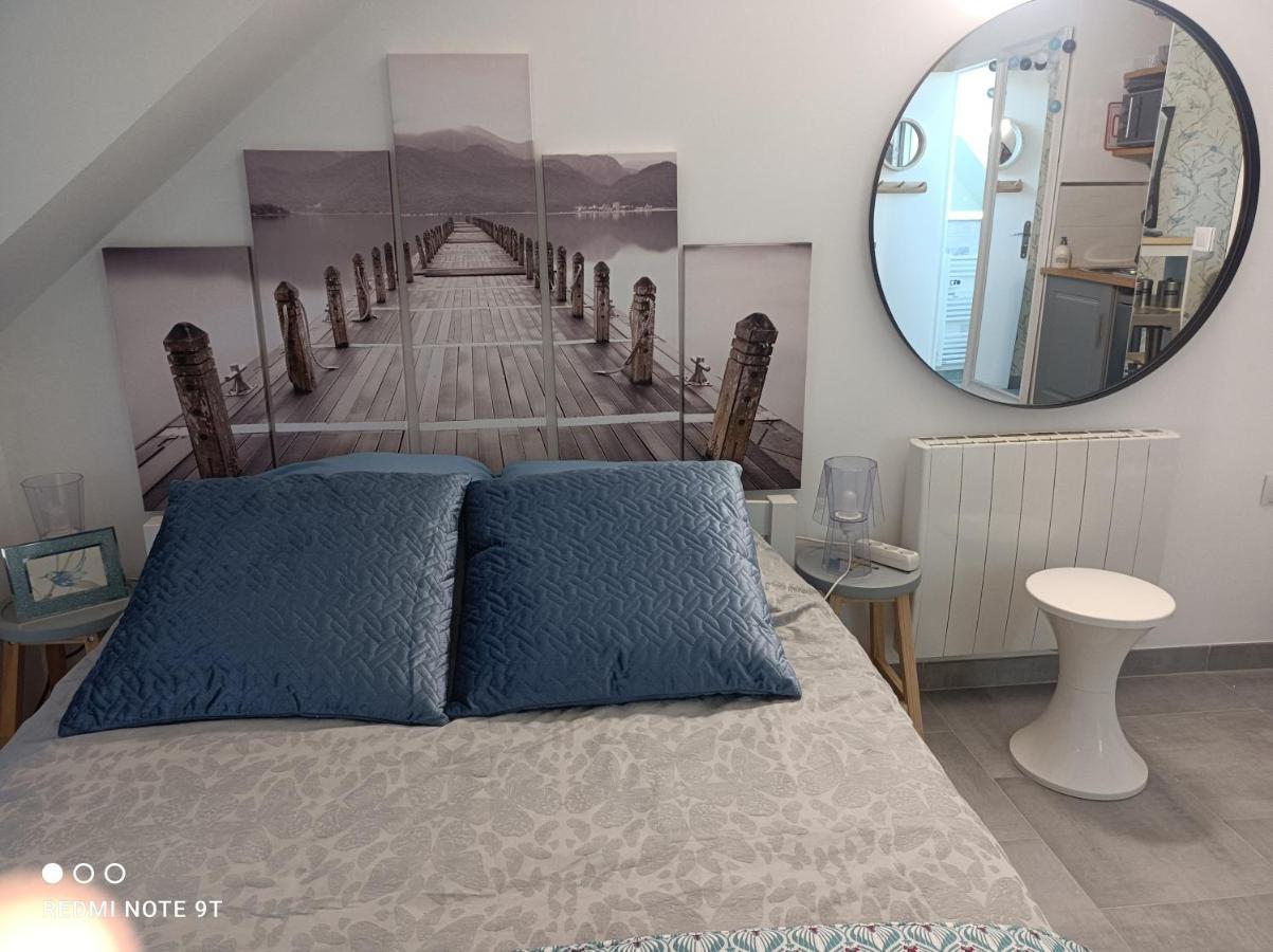 Tres Beau Studio Climatisation, Trois Etoiles, Parking A Velo, Velos En Option, Parking Prive Jardin Montargis Exterior foto