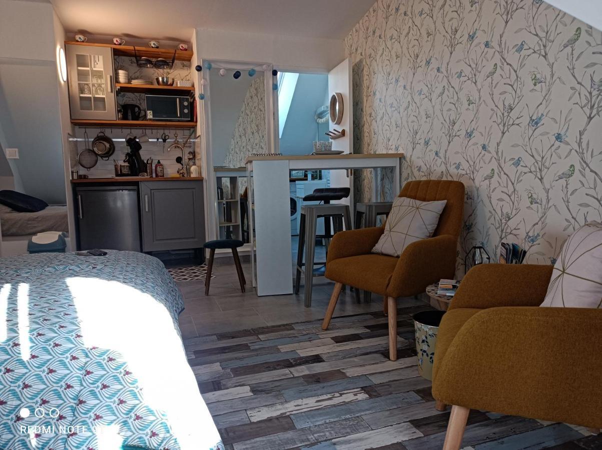 Tres Beau Studio Climatisation, Trois Etoiles, Parking A Velo, Velos En Option, Parking Prive Jardin Montargis Exterior foto