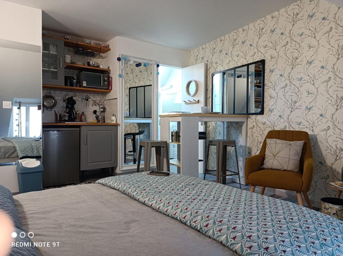 Tres Beau Studio Climatisation, Trois Etoiles, Parking A Velo, Velos En Option, Parking Prive Jardin Montargis Exterior foto