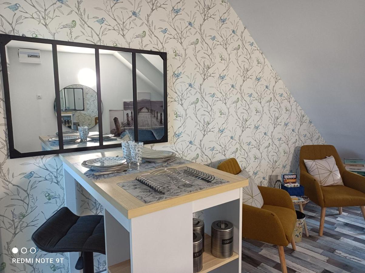 Tres Beau Studio Climatisation, Trois Etoiles, Parking A Velo, Velos En Option, Parking Prive Jardin Montargis Exterior foto