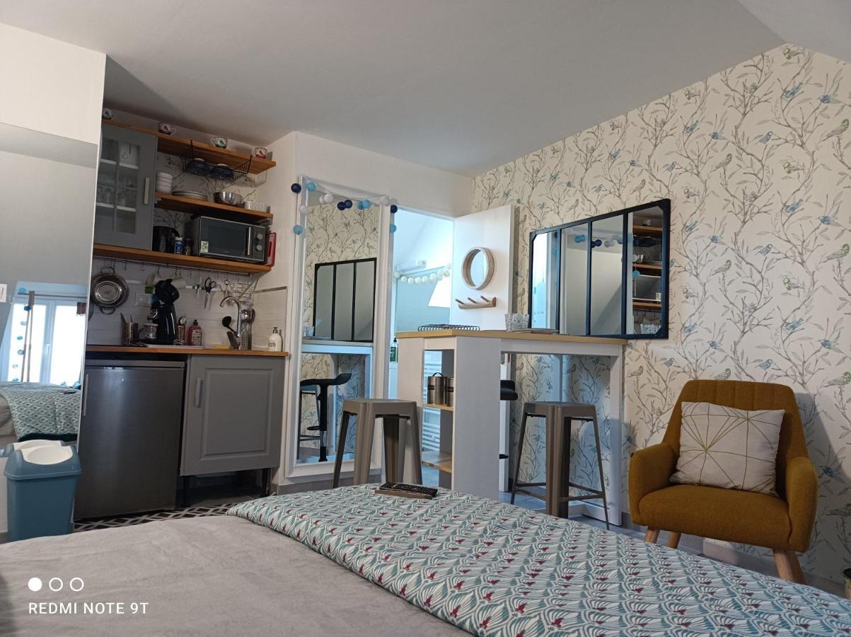Tres Beau Studio Climatisation, Trois Etoiles, Parking A Velo, Velos En Option, Parking Prive Jardin Montargis Exterior foto